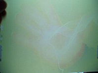 detalle a tempo pack audio 17 variaciones cromaticas y espacio sonoro de bego&ntilde;a mu&ntilde;oz para sinedie 2006 cortesia de la autora para lai museum reservados todos los derechos