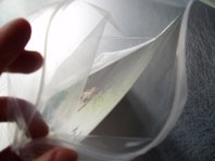 photography copyright bego&ntilde;a mu&ntilde;oz 2006 courtesy from the artist to lai museum all rights reserved