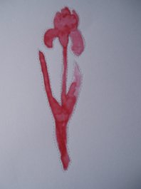 detalle obra de fernanda alvarez para edicion sinedie 2006 foto bego&ntilde;a mu&ntilde;oz 2006 cortesia de la autora para lai museum all rights reserved