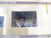 detalle exposicion sinedie 2006 en sala lai foto bego&ntilde;a mu&ntilde;oz 2006 cortesia para lai museum all rights reserved