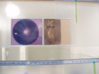 detalle exposicion sinedie 2006 en sala lai foto bego&ntilde;a mu&ntilde;oz 2006 cortesia para lai museum all rights reserved