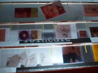 detalle exposicion sinedie 2006 foto bego&ntilde;a mu&ntilde;oz cortesia de la autora para lai museum all rights reserved