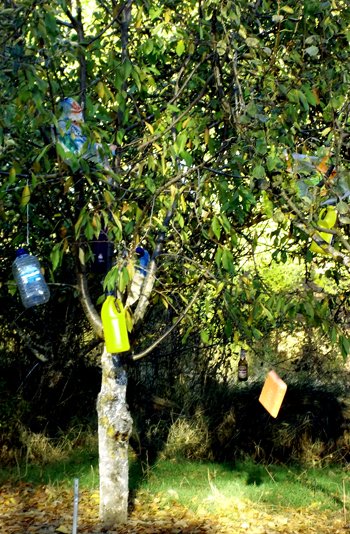 lai museum official website all rights reserved