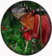 lai museum official website all rights reserved