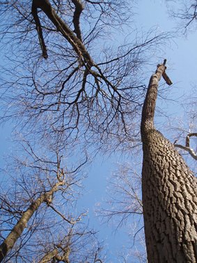 photography copyright begoña muñoz 2010 courtesy frtom the artist to lai museum all rights reserved