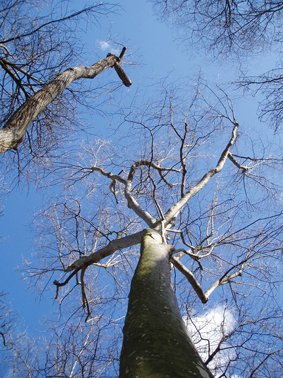 photography copyrigh begoña muñoz 2010 courtesy from the artist to lai museum all rights reserved