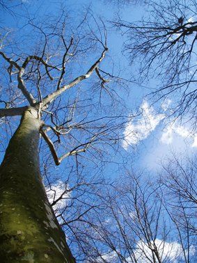 photography copyright begoña muñoz 2010 courtesy from the artist to lai museum all rights resrved