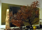 photography copyright begoña muñoz 2010 courtesy from the artist to lai museum all rights reserved