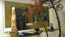 photography copyright begoña muñoz 2010 courtesy from the artist to lai museum all rights reserved