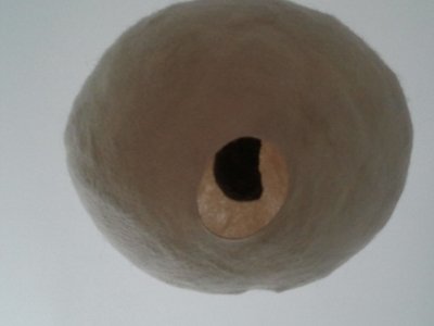 photography copyright begoña muñoz 2014 courtesy from the artist to laimuseum official website all rights reserved