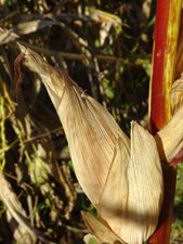 copyright begoña muñoz all rights reserved vegap 