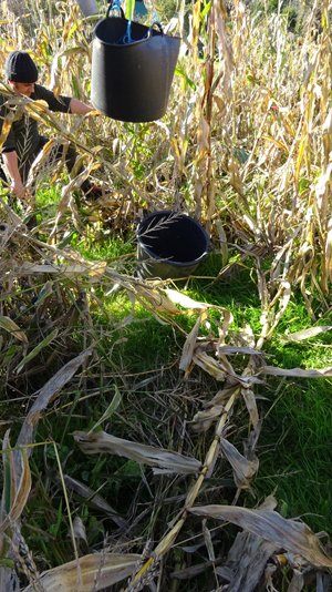 copyright begoña muñoz all rights reserved vegap