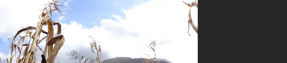 copyright begoña muñoz all rights reserved vegap