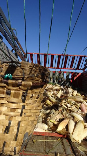 copyright begoña muñoz all rights reserved vegap