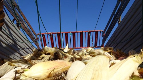 copyright begoña muñoz all rights reserved vegap