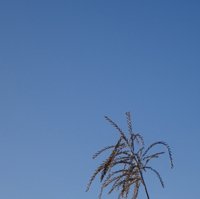 copyright begoña muñoz all rights reserved vegap