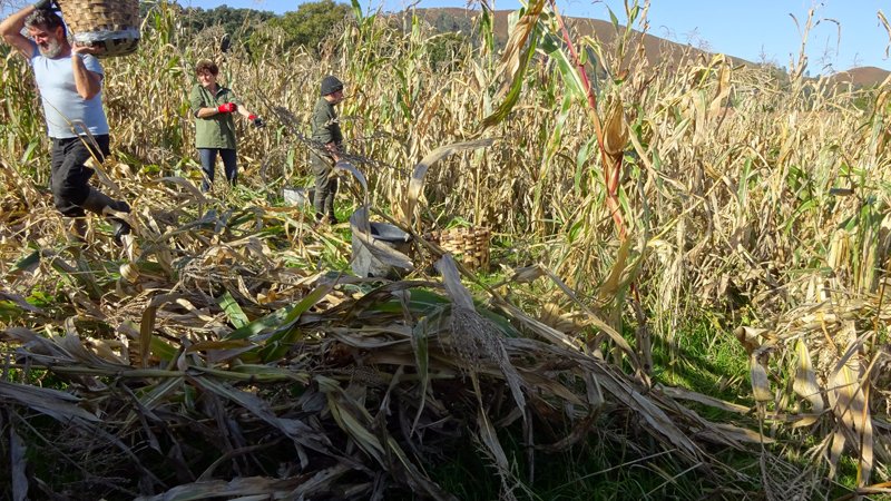 copyright begoña muñoz all rights reserved vegap