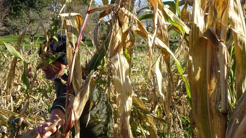 copyright begoña muñoz all rights reserved vegap