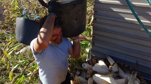 copyright begoña muñoz all rights reserved vegap