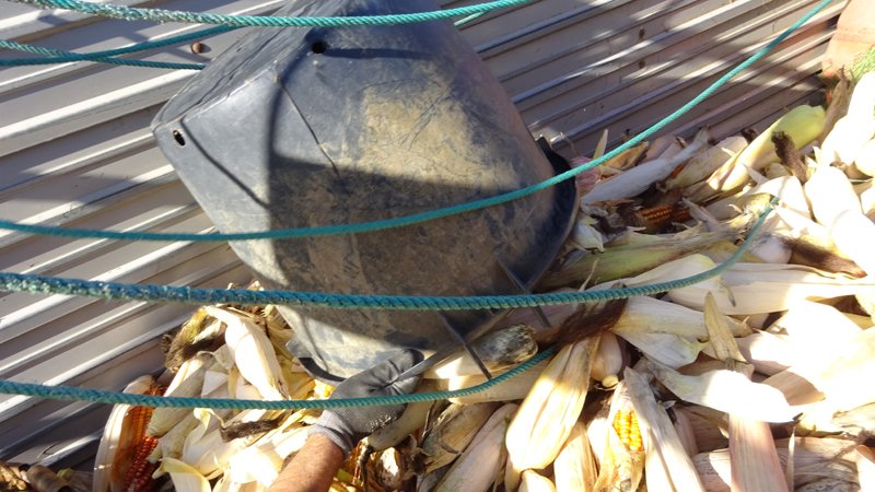 copyright begoña muñoz all rights reserved vegap