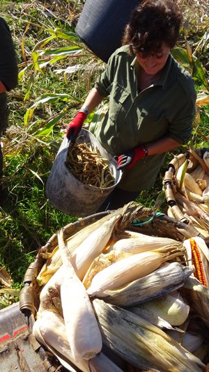 copyright begoña muñoz all rights reserved vegap