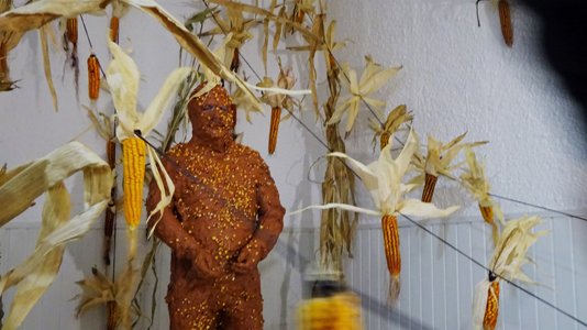 photography copyright begoña muñoz all rights reserved