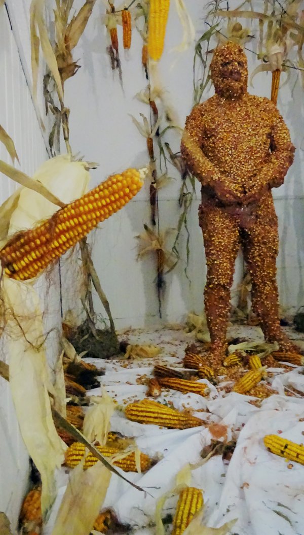 photography copyright begoña muñoz all rights reserved