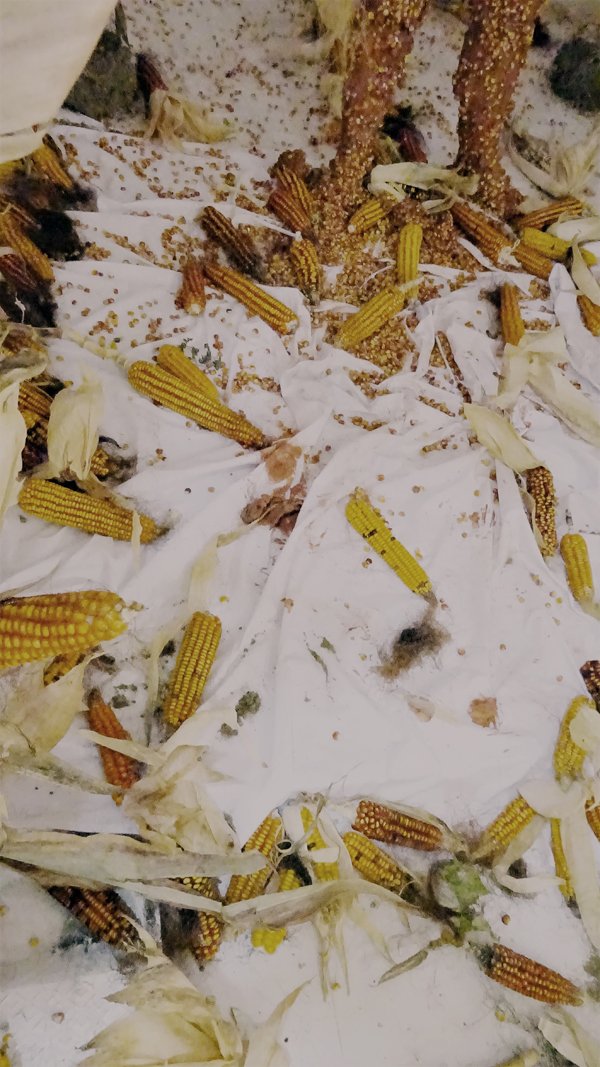 photography copyright begoña muñoz all rights reserved