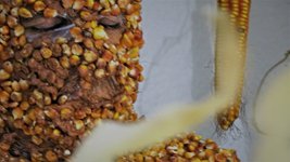 photography copyright begoña muñoz all rights reserved