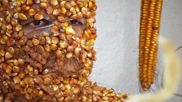 photography copyright begoña muñoz all rights reserved