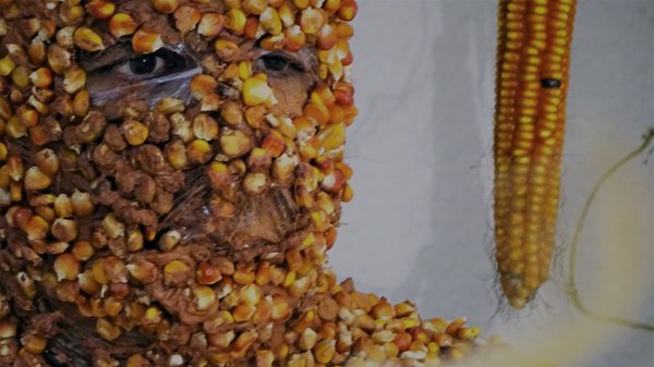 photography copyright begoña muñoz all rights reserved