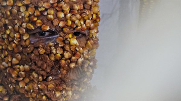 photography copyright begoña muñoz all rights reserved