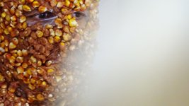 photography copyright begoña muñoz all rights reserved