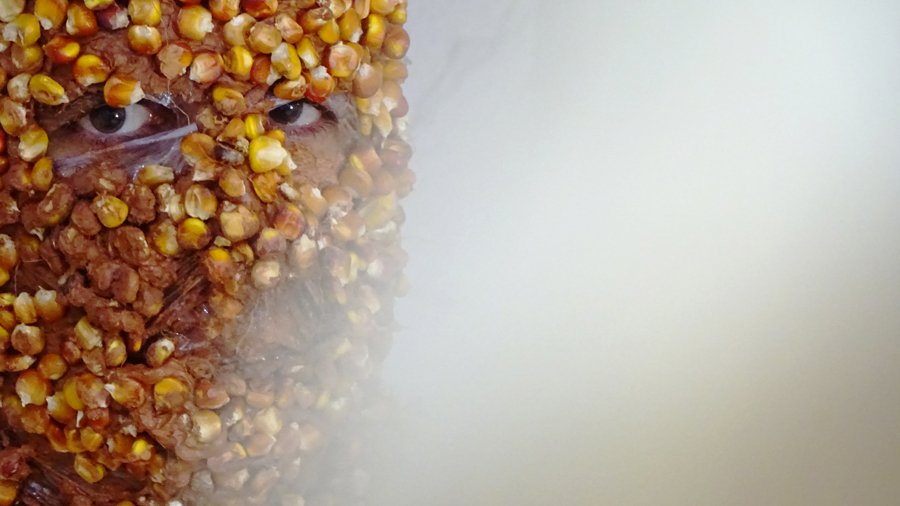 photography copyright begoña muñoz all rights reserved