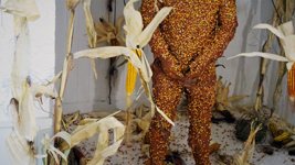 photography copyright begoña muñoz all rights reserved