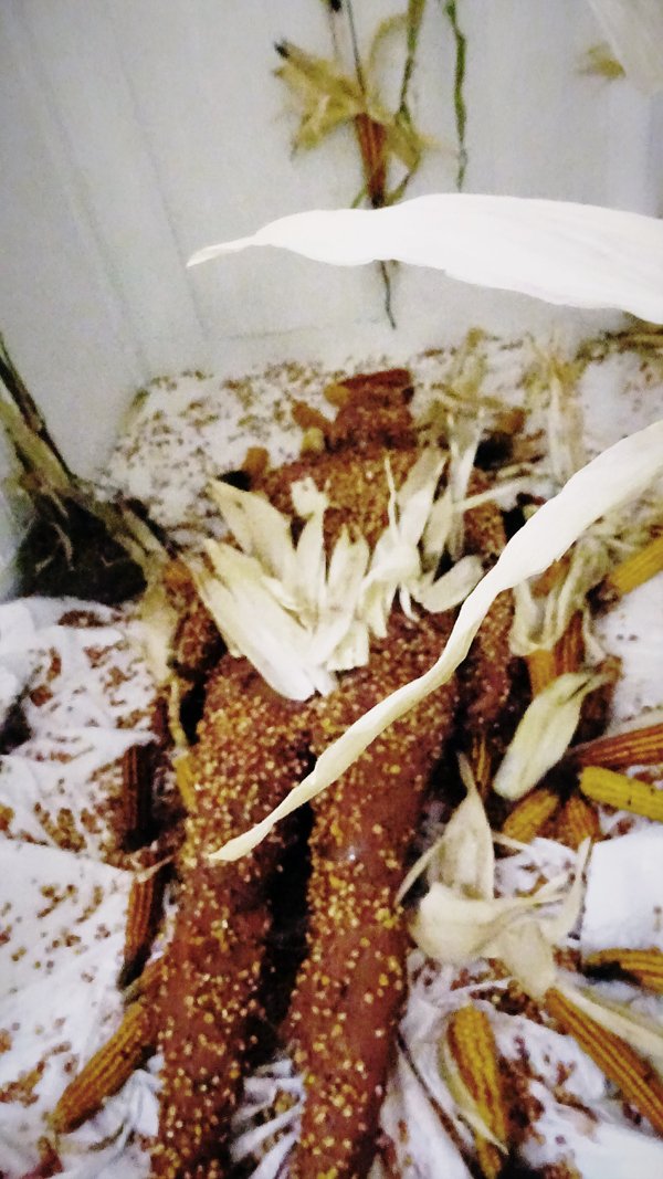 photography copyright begoña muñoz all rights reserved