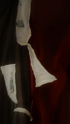 copyright begoña muñoz all rights reserved vegap