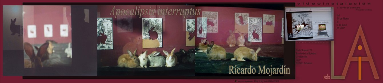 copyright begoña muñoz all rights reserved vegap