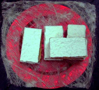 lai museum official website all rights reserved