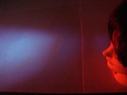 photography copyright christophe joubert 2011 courtesy from the artist to lai museum official website all rights reserved