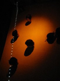 photography copyright begoña muñoz 2011 courtesy from the artist to lai museum official website all rights reserved