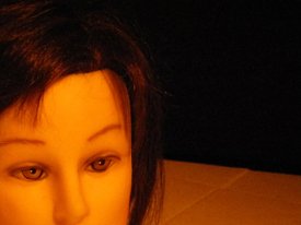 photography copyright begoña muñoz 2011 courtesy from the artist to lai museum official webiste all rights reserved