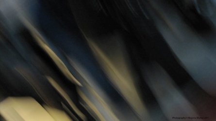 photography copyright begoña muñoz 2011 courtesy from the artist to lai museum official website all rights reserved