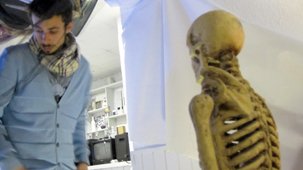 photography copyright begoña muñoz 2013 courtesy from the artist to laimuseum official website all rights reserved