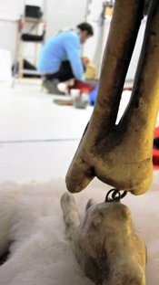 photography copyright begoña muñoz 2013 courtesy from the artist to laimuseum official website all rights reserved