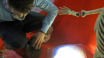 photography copyright begoña muñoz 2013 courtesy from the artist to laimuseum official website all rights reserved