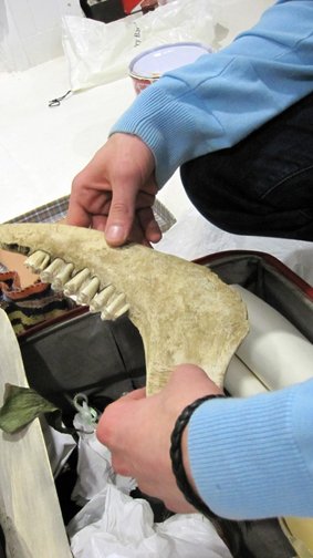 photography copyright begoña muñoz 2013 courtesy from the artist to laimuseum official website all rights reserved