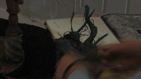 photography copyright begoña muñoz 2013 courtesy from the arist to laimuseum official website all rights reserved