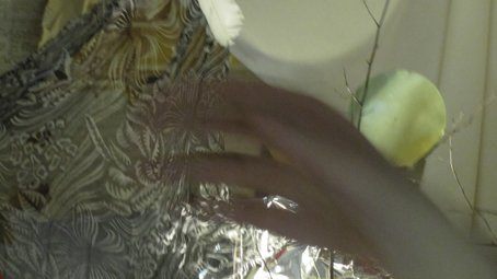 photography copyright begoña muñoz 2013 courtesy from the artist to laimuseum official website all rights reserved