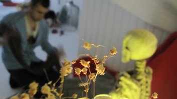 photography copyright begoña muñoz 2013 courtesy from the artist to laimuseum official website all rights reserved